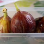 イチジク　230812 (1 - 1)